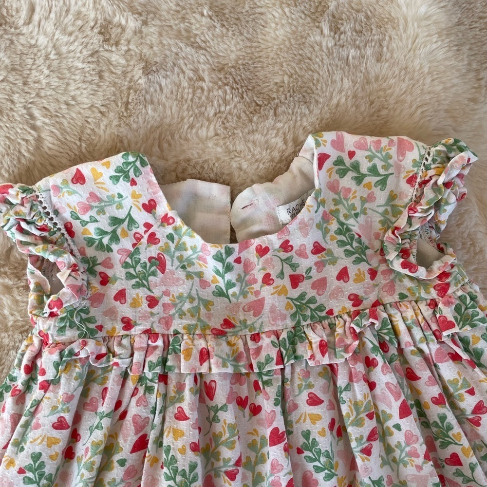 Rachel Zoe Multicolor Floral Baby Dress - Picture 10 of 10